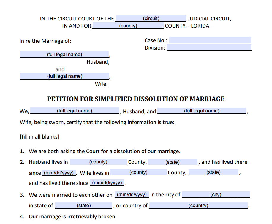 Premium Fillable PDF Form