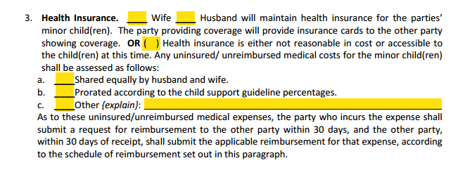 MSA Section 4 Child Support Health Insurance