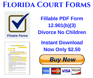 Instant Download PDF Fillable Form 12.901(b)(3)